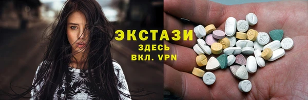 ECSTASY Бородино